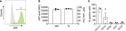 An mRNA mix redirects dendritic cells towards an antiviral program, inducing anticancer cytotoxic stem cell and central memory CD8+ T cells